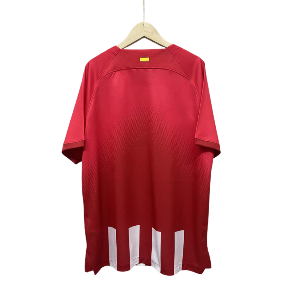Camiseta Atlético de Madrid 2023/24
