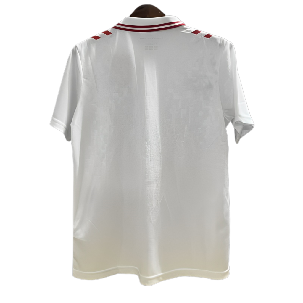Camiseta Selección Dinamarca Eurocopa 2024