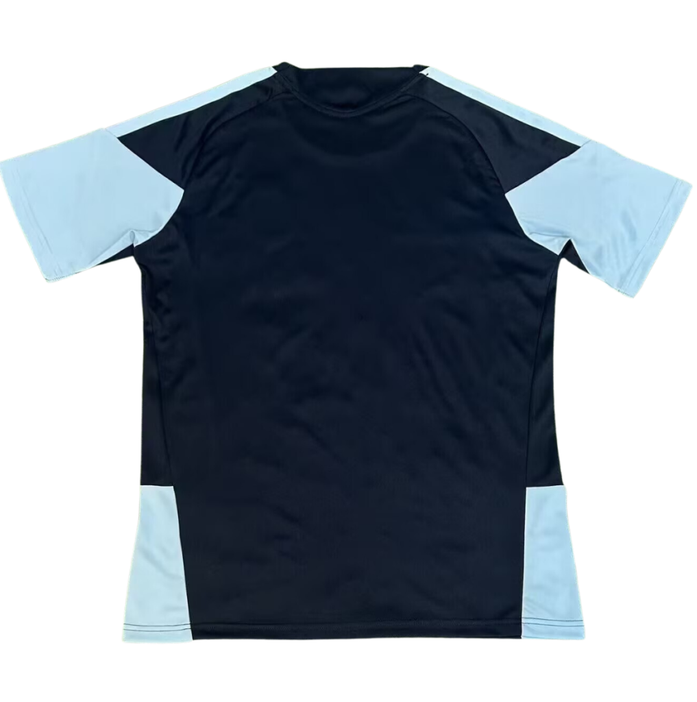 Camiseta Entrenamiento Selección Argentina Mundial 2026