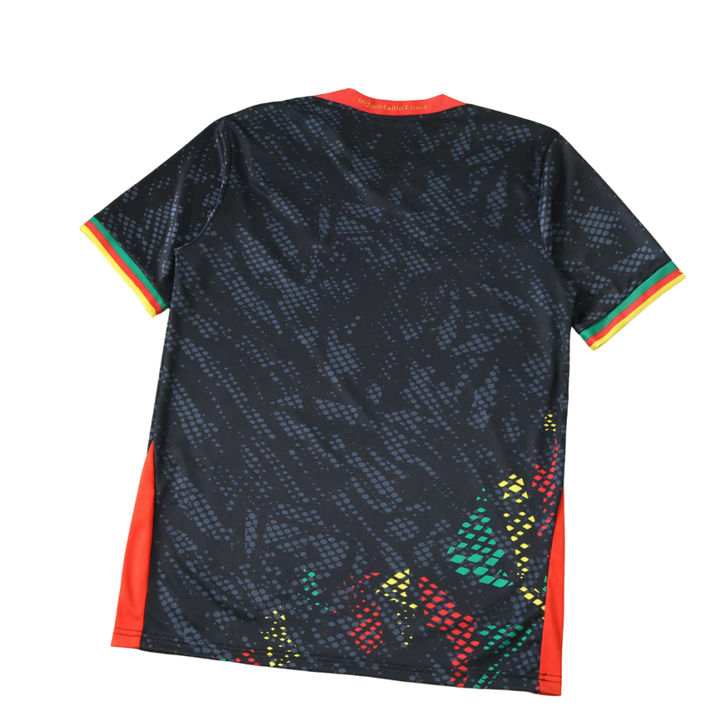 Camiseta Selección Camerun Mundial 2026