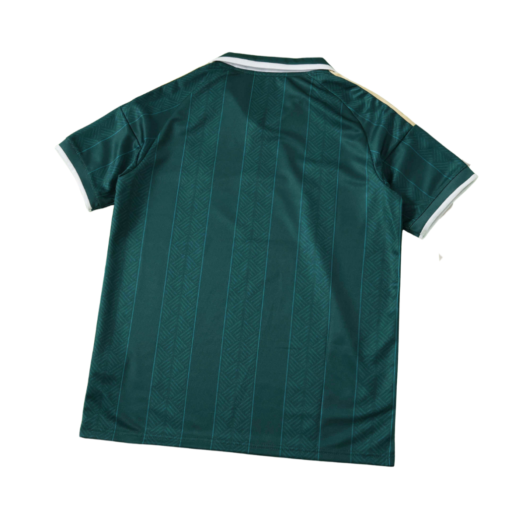 Camiseta Selección Sudafrica Mundial 2026