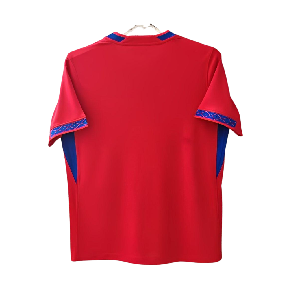 Camiseta Selección Noruega Mundial 2026