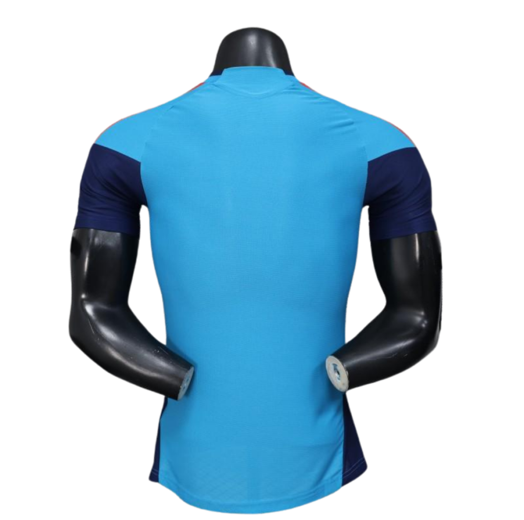 Camiseta Entrenamiento Selección España Mundial 2026