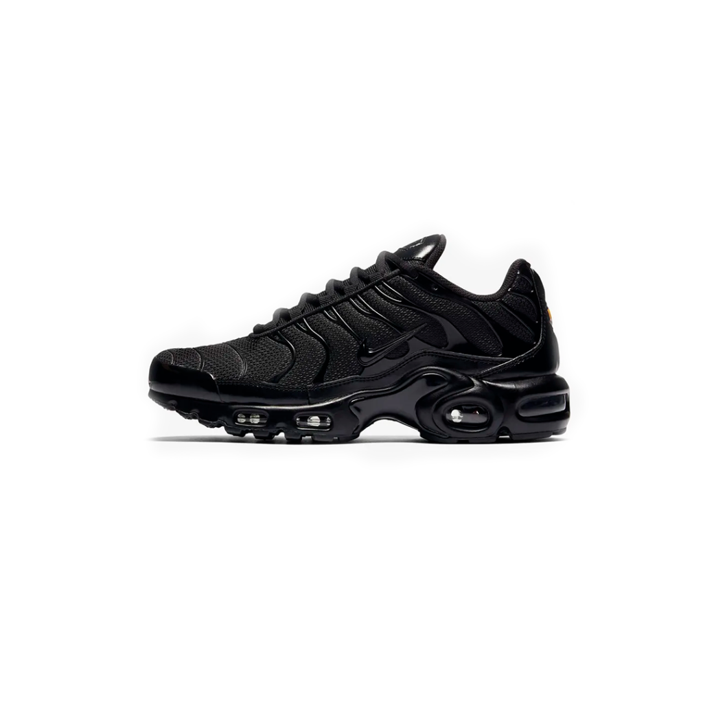 Nike TN 'Triple Black'