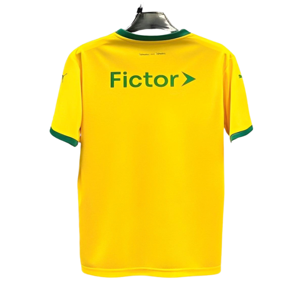 Camiseta Sociedade Esportiva Palmeiras 2025/26
