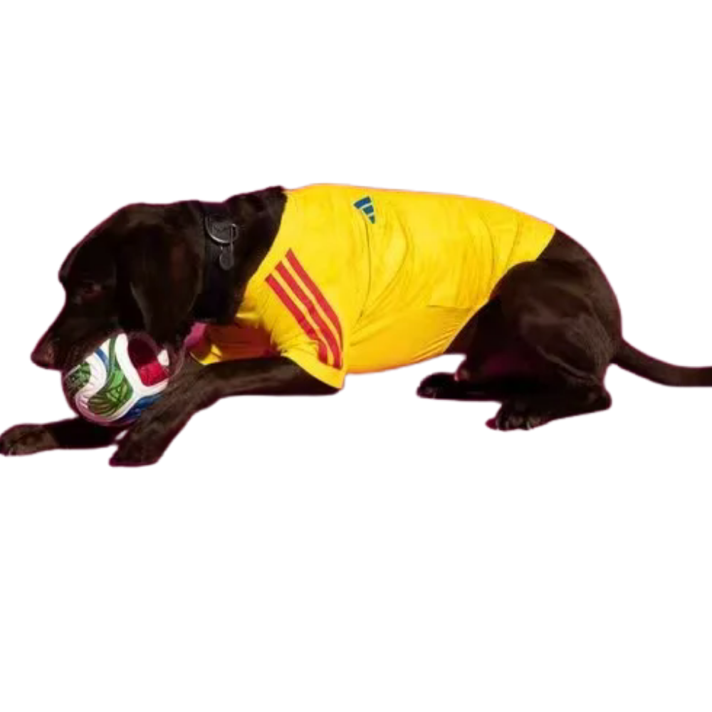 Ropa Mascota Colombia