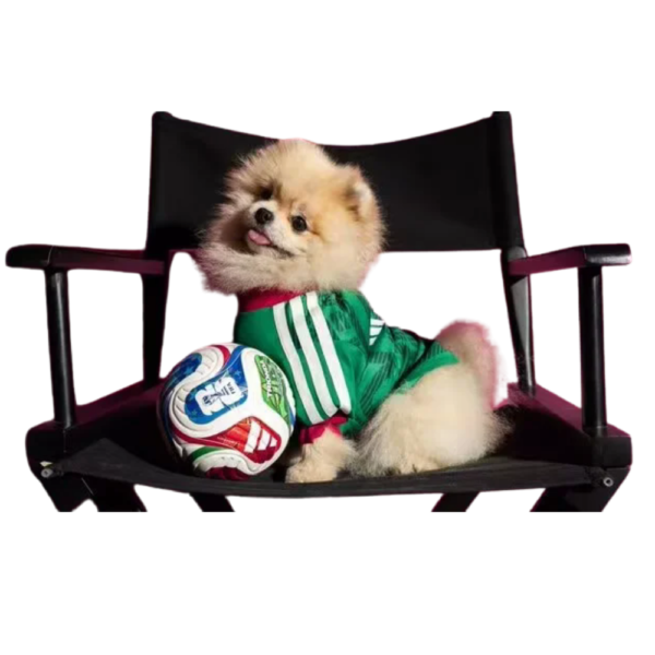 Ropa Mascota Mexico