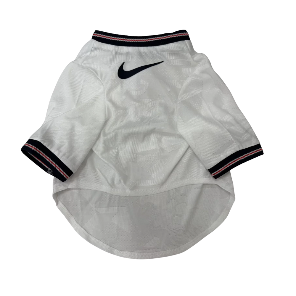 Ropa Mascota Inglaterra
