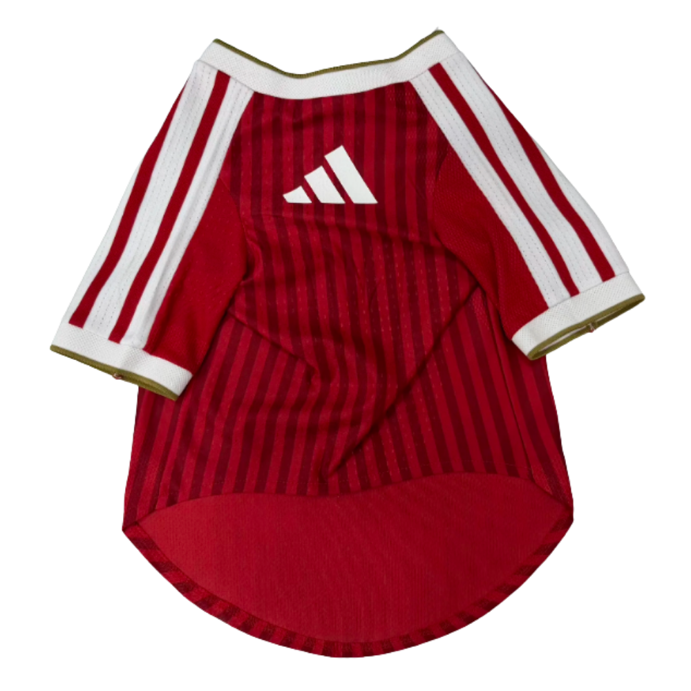 Ropa Mascota Bayern Munich