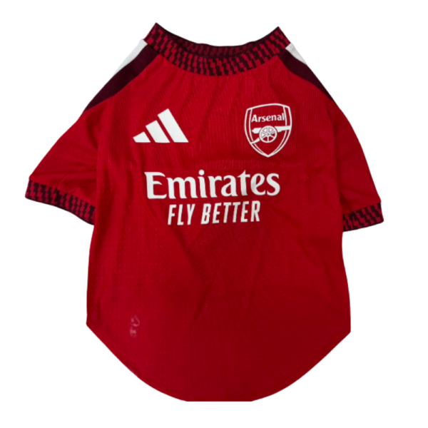 Ropa Mascota Arsenal